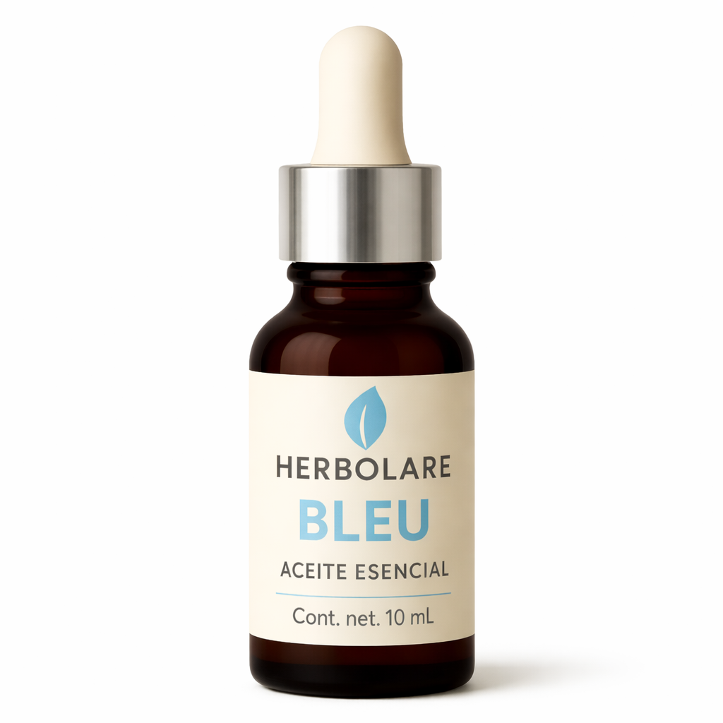 Bleu Hero 1